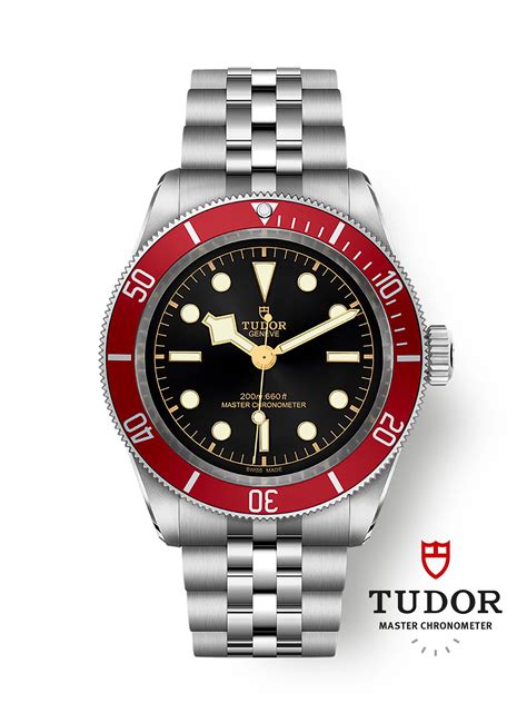 tudor black bay jubilee